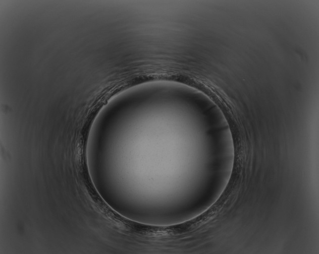 X0000090880513200708031034