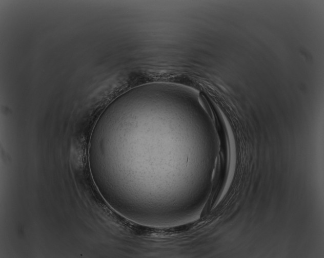X0000090880515200708031034