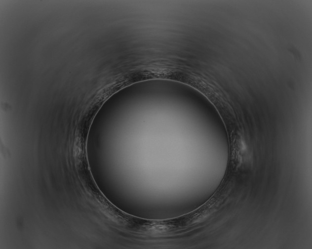 X0000090880518200708031034