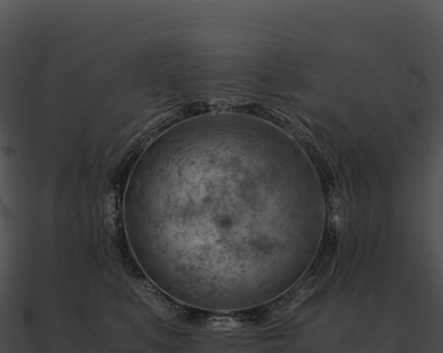 X0000090880519200708031034