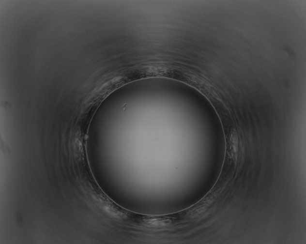 X0000090880522200708031034