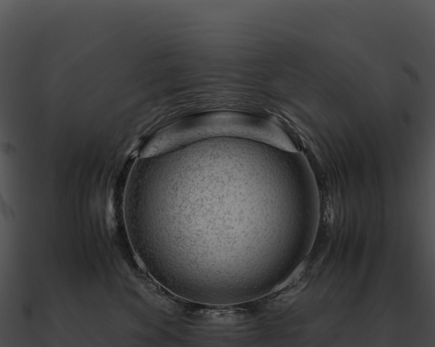 X0000090880524200708031034