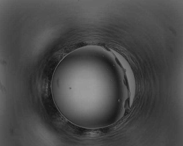 X0000090880525200708031034