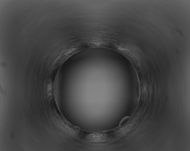 X0000090880526200708031034