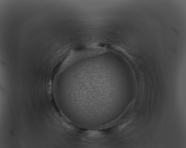 X0000090880528200708031034
