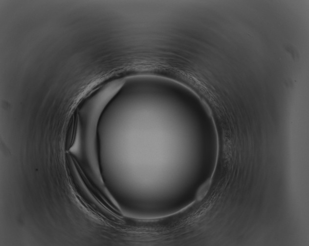 X0000090880530200708031033