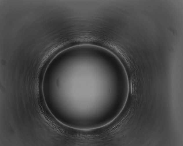 X0000090880531200708031033