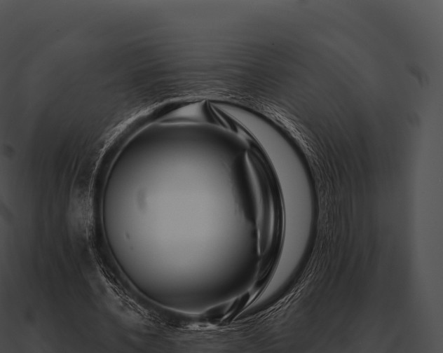 X0000090880532200708031033