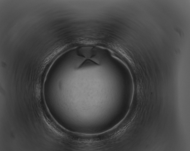 X0000090880533200708031033