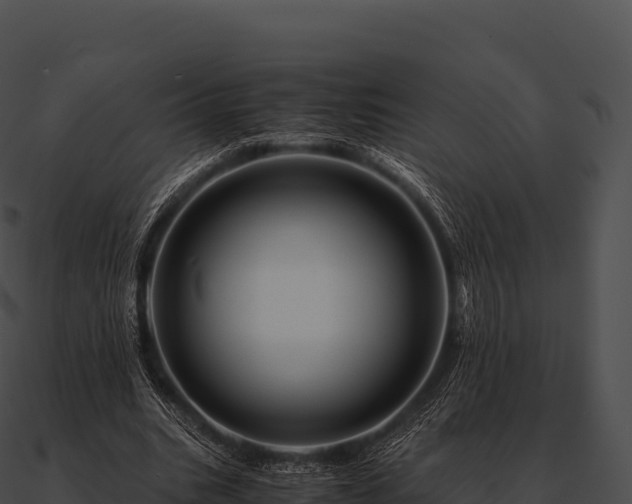 X0000090880535200708031033