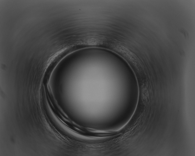 X0000090880536200708031033
