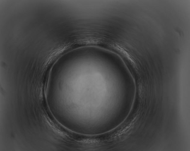 X0000090880537200708031033