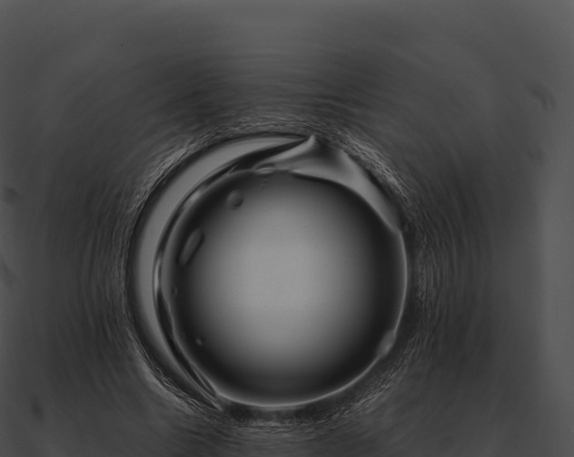 X0000090880538200708031033