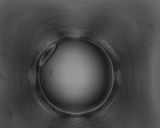 X0000090880540200708031033