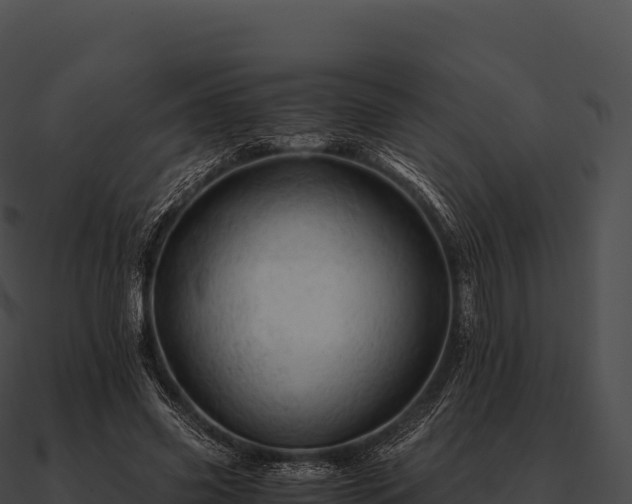 X0000090880541200708031033