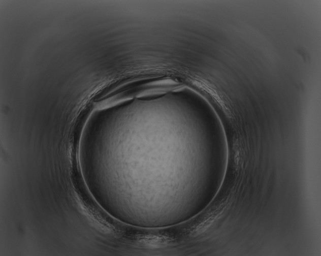 X0000090880542200708031033