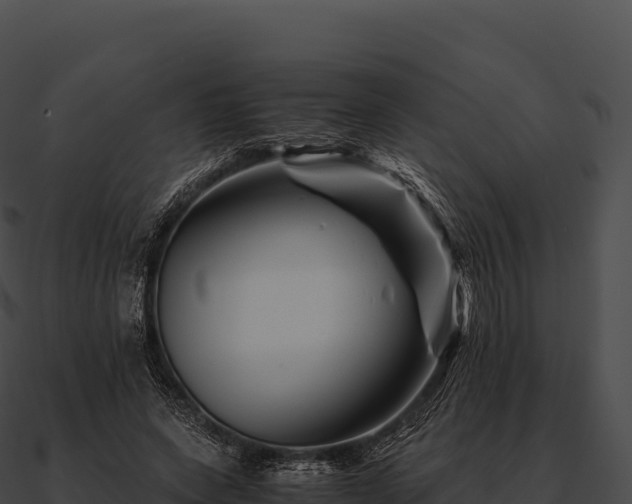 X0000090880543200708031033