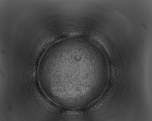 X0000090880545200708031033