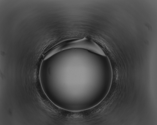 X0000090880546200708031033