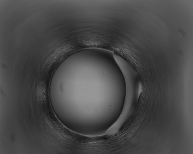 X0000090880547200708031033