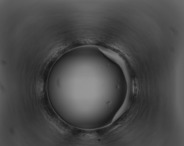X0000090880548200708031033