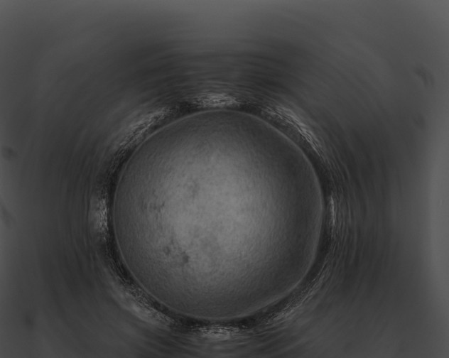 X0000090880549200708031033
