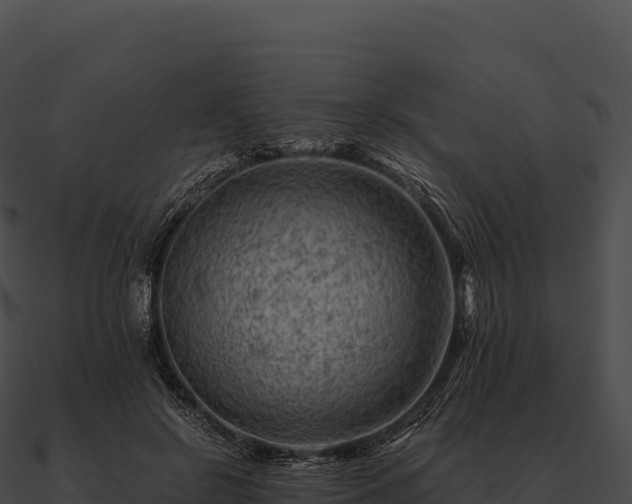 X0000090880550200708031033