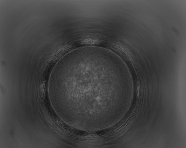 X0000090880551200708031033