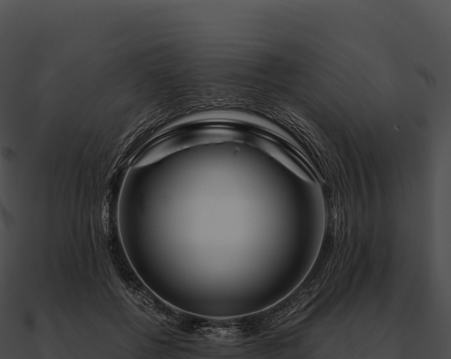 X0000090880552200708031033