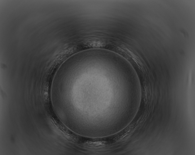 X0000090880553200708031033