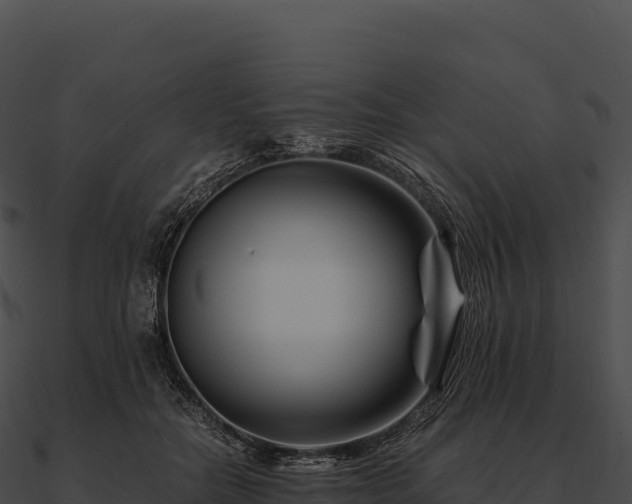 X0000090880554200708031033