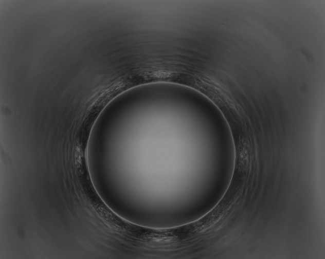 X0000090880555200708031033
