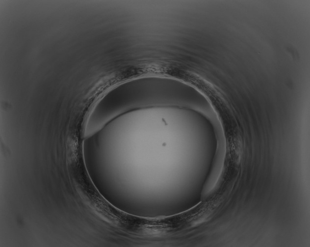 X0000090880556200708031033