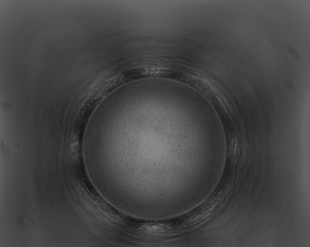 X0000090880557200708031033