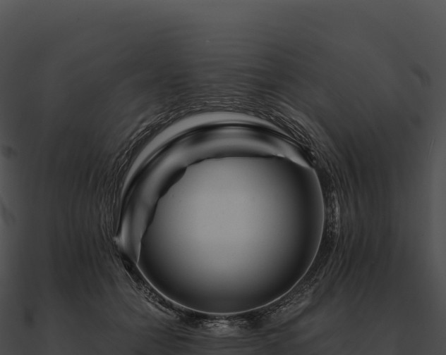 X0000090880558200708031033