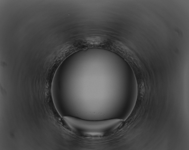 X0000090880559200708031033