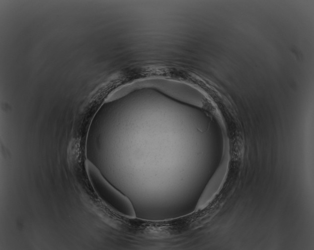 X0000090880560200708031033