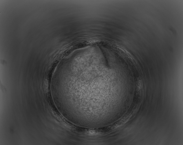 X0000090880565200708031033