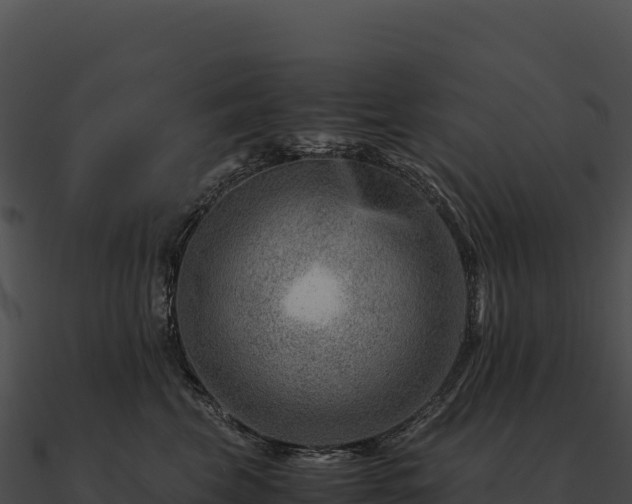X0000090880569200708031034