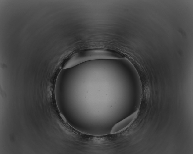 X0000090880570200708031034