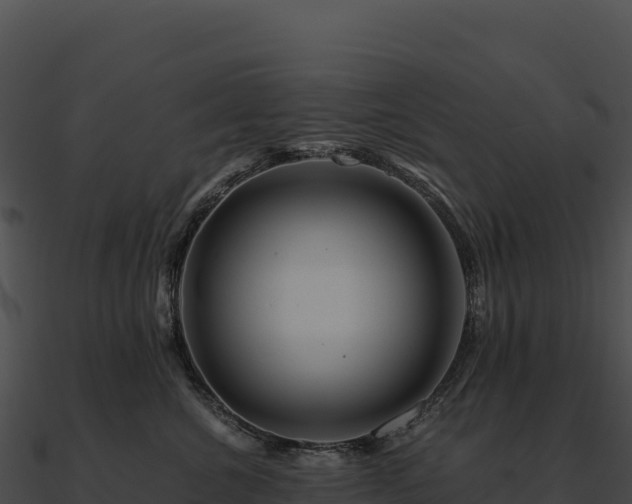 X0000090880572200708031034