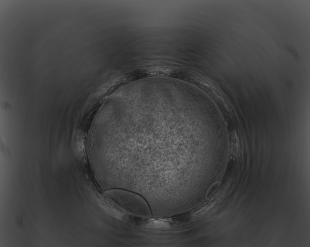 X0000090880573200708031034