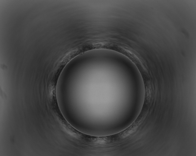 X0000090880574200708031034