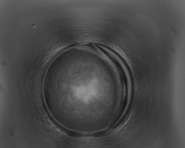 X0000090880577200708031033