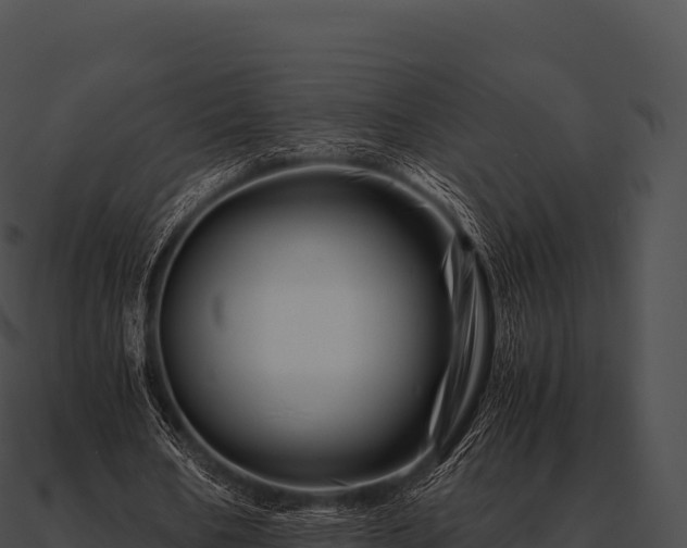 X0000090880578200708031033