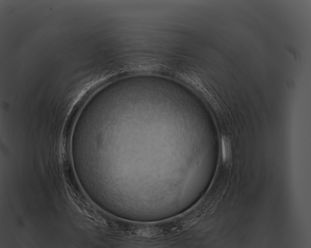 X0000090880579200708031033