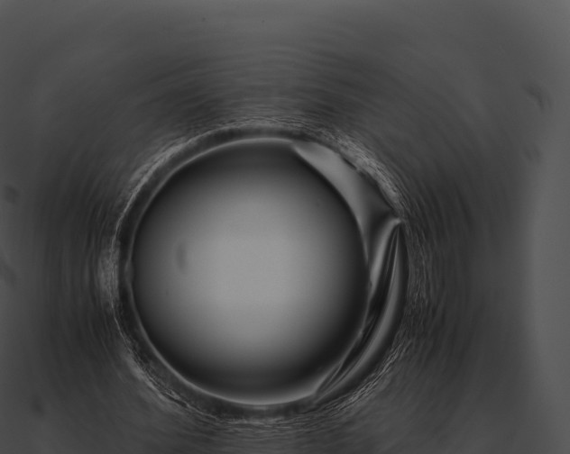X0000090880580200708031033