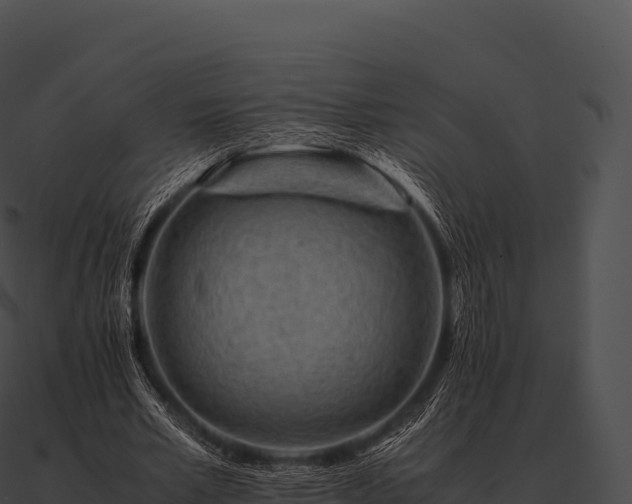 X0000090880581200708031033