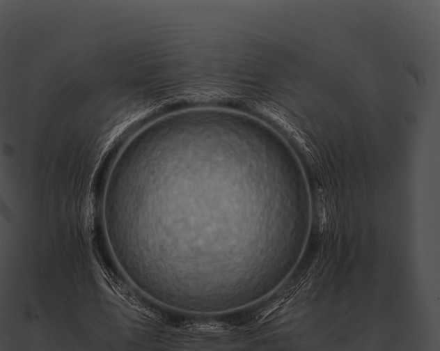 X0000090880583200708031033