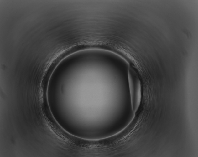 X0000090880584200708031033